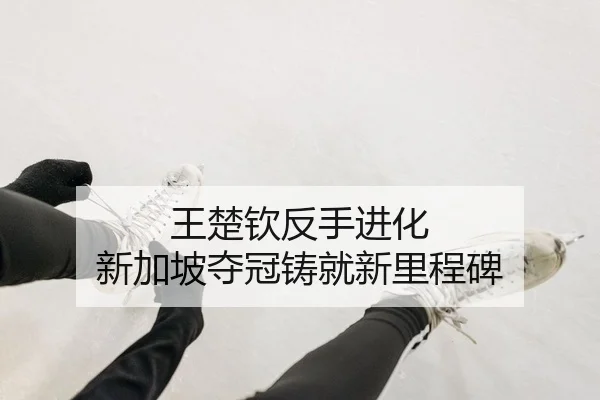 王楚钦反手进化 新加坡夺冠铸就新里程碑